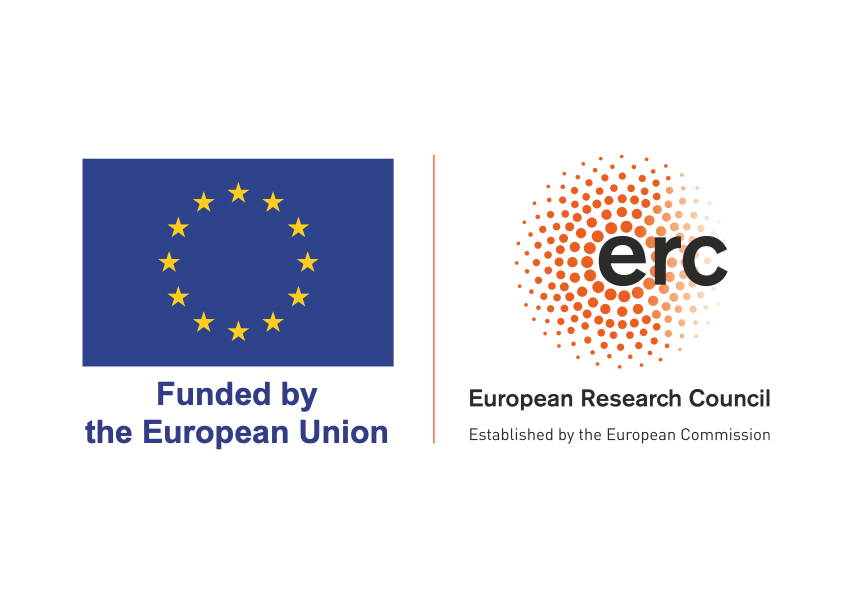 LOGO ERC FLAG FP